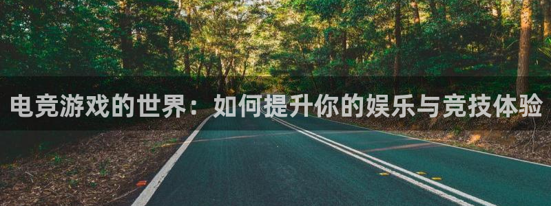 一竞技官网地址：电竞游戏的世界：如何提升你的娱乐与竞技体验