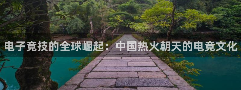 一竞技官网地址：电子竞技的全球崛起：中国热火朝天的电竞文化