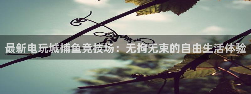一竞技官网地址：最新电玩城捕鱼竞技场：无拘无束的自由生活体验