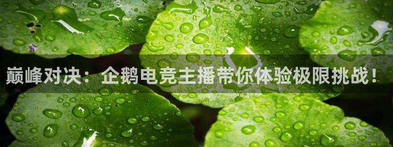 一竞技app下载安装：巅峰对决：企鹅电竞主播带你体验极限挑战！