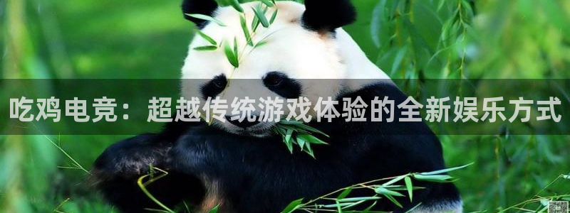 一竞技app：吃鸡电竞：超越传统游戏体验的全新娱乐方式