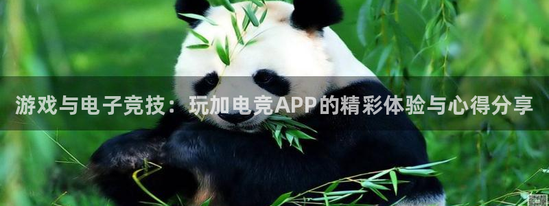 一竞技网址：游戏与电子竞技：玩加电竞APP的精彩体验与心得分享