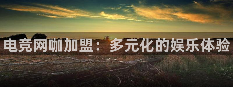 一竞技官网：电竞网咖加盟：多元化的娱乐体验