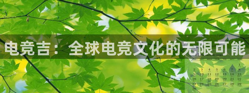 一竞技app下载安装：电竞吉：全球电竞文化的无限可能