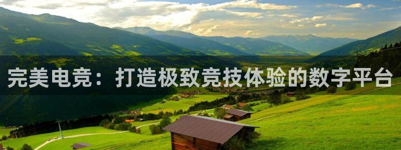 一竞技：完美电竞：打造极致竞技体验的数字平台