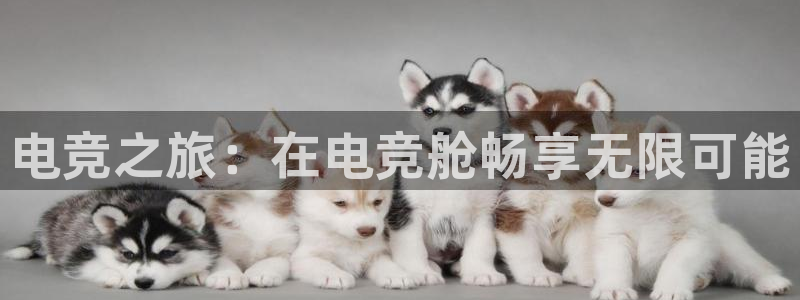 一竞技官网：电竞之旅：在电竞舱畅享无限可能