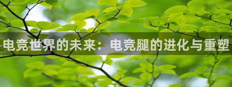 一竞技官网下载：电竞世界的未来：电竞腿的进化与重塑