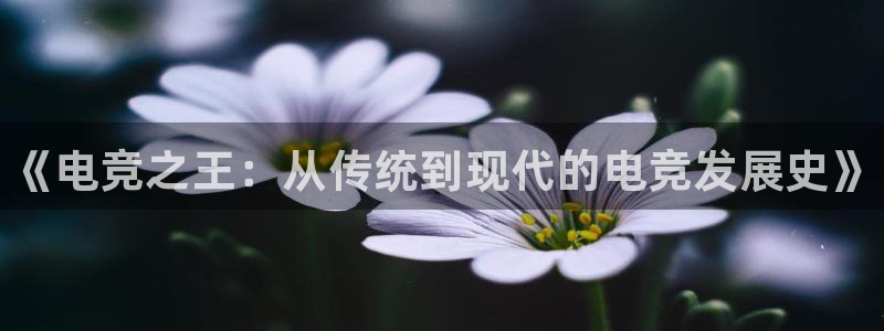一竞技app下载：《电竞之王：从传统到现代的电竞发展史》