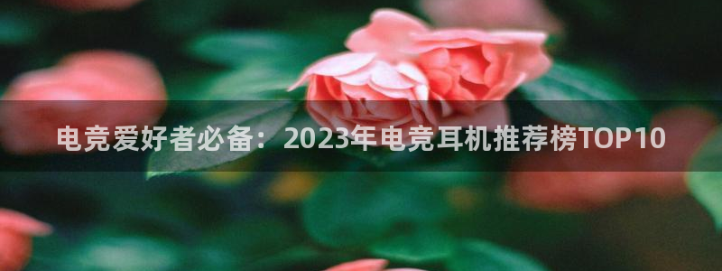 一竞技网址：电竞爱好者必备：2023年电竞耳机推荐榜TOP10
