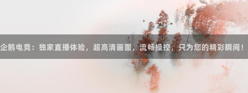 一竞技官网地址：企鹅电竞：独家直播体验，超高清画面，流畅操控，只为您的精彩瞬间！