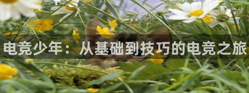 一竞技官网：电竞少年：从基础到技巧的电竞之旅
