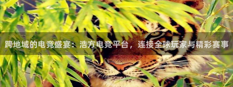 一竞技app下载：跨地域的电竞盛宴：浩方电竞平台，连接全球玩家与精彩赛事