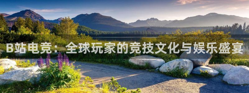 一竞技官网：B站电竞：全球玩家的竞技文化与娱乐盛宴