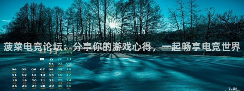 一竞技网址：菠菜电竞论坛：分享你的游戏心得，一起畅享电竞世界