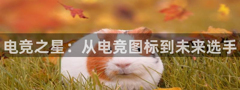 一竞技app下载：电竞之星：从电竞图标到未来选手