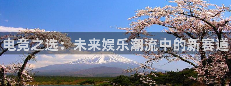 一竞技官网地址：电竞之选：未来娱乐潮流中的新赛道