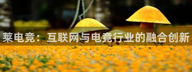 一竞技app下载安装：莱电竞：互联网与电竞行业的融合创新