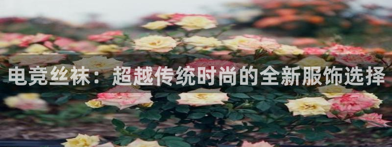 一竞技官网：电竞丝袜：超越传统时尚的全新服饰选择