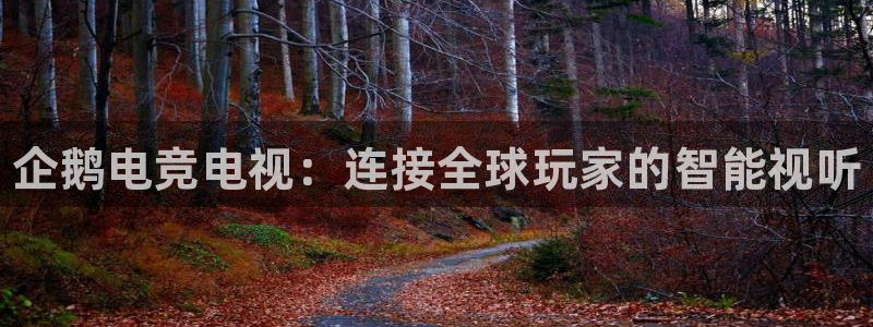 一竞技app下载安装：企鹅电竞电视：连接全球玩家的智能视听