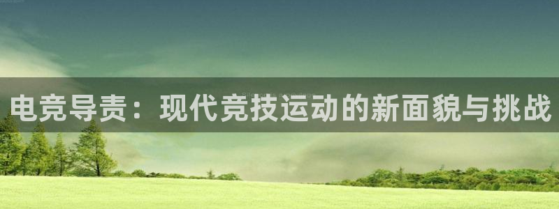 一竞技平台：电竞导责：现代竞技运动的新面貌与挑战