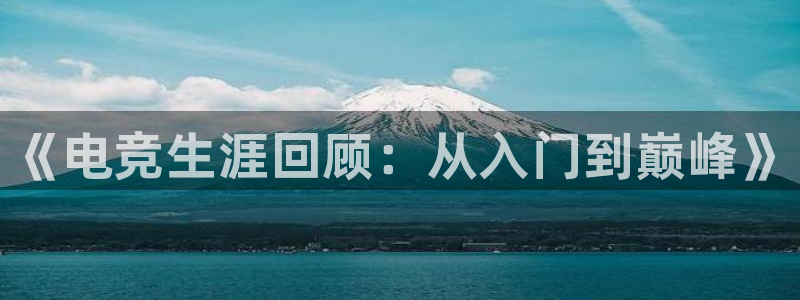 一竞技网址：《电竞生涯回顾：从入门到巅峰》
