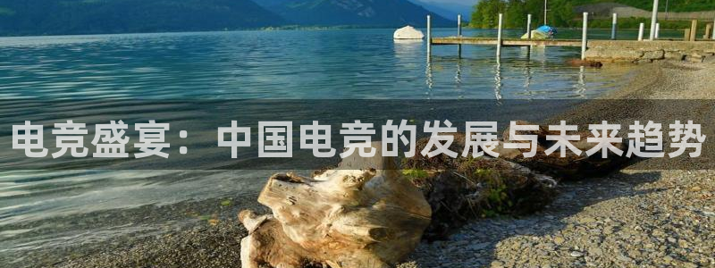 一竞技官网：电竞盛宴：中国电竞的发展与未来趋势