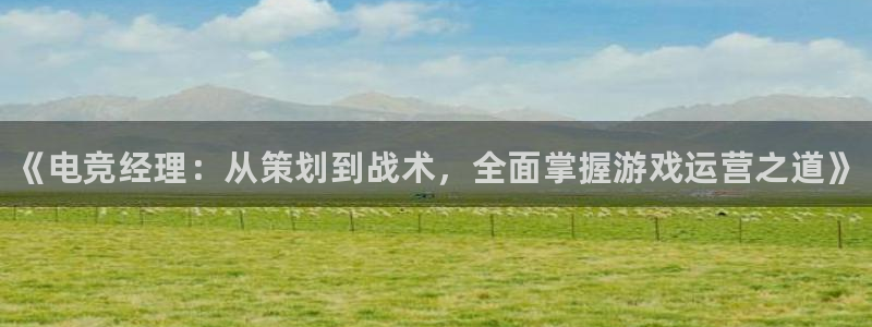 一竞技平台：《电竞经理：从策划到战术，全面掌握游戏运营之道》