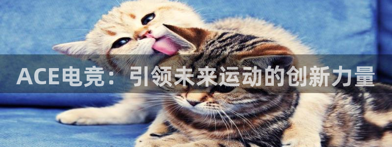 一竞技app下载：ACE电竞：引领未来运动的创新力量