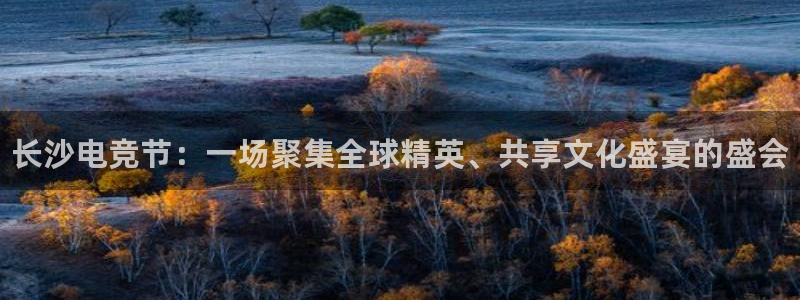 一竞技官网：长沙电竞节：一场聚集全球精英、共享文化盛宴的盛会