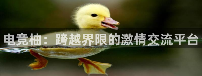 一竞技app下载安装：电竞柚：跨越界限的激情交流平台