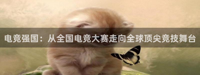 一竞技官网：电竞强国：从全国电竞大赛走向全球顶尖竞技舞台
