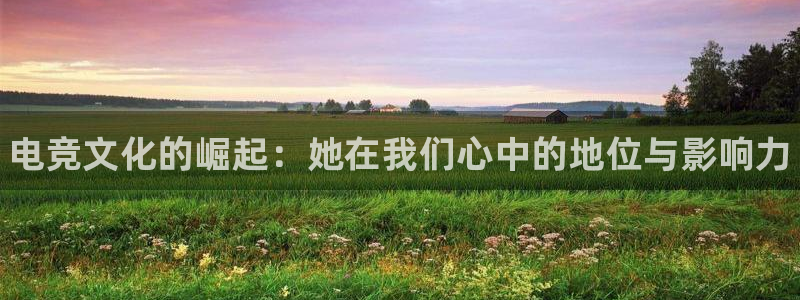 一竞技官网：电竞文化的崛起：她在我们心中的地位与影响力