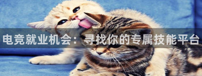 一竞技官网地址：电竞就业机会：寻找你的专属技能平台