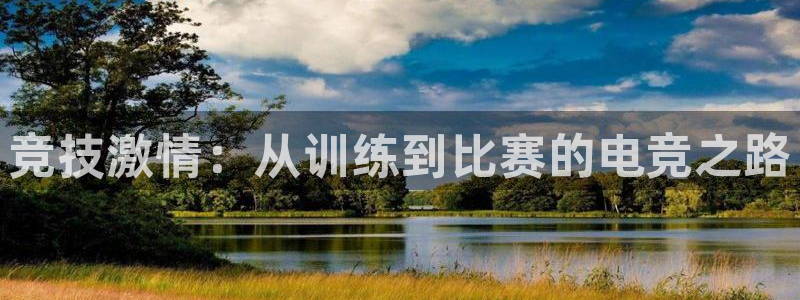 一竞技官网：竞技激情：从训练到比赛的电竞之路