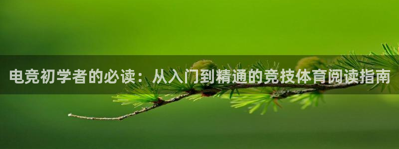 一竞技：电竞初学者的必读：从入门到精通的竞技体育阅读指南