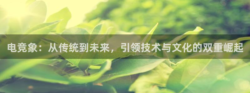 一竞技官网地址：电竞象：从传统到未来，引领技术与文化的双重崛起