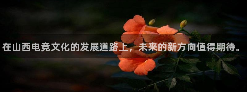 一竞技：在山西电竞文化的发展道路上，未来的新方向值得期待。