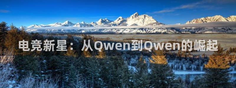 一竞技app：电竞新星：从Qwen到Qwen的崛起