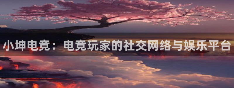 一竞技app：小坤电竞：电竞玩家的社交网络与娱乐平台