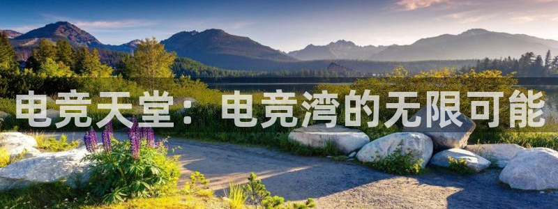 一竞技官网：电竞天堂：电竞湾的无限可能
