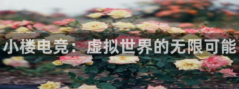 一竞技官网下载：小楼电竞：虚拟世界的无限可能
