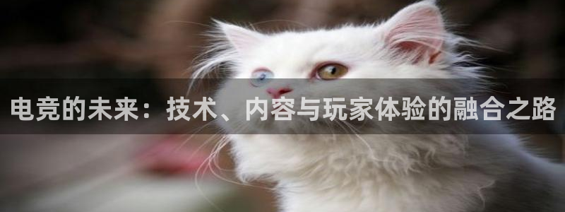 一竞技官网：电竞的未来：技术、内容与玩家体验的融合之路