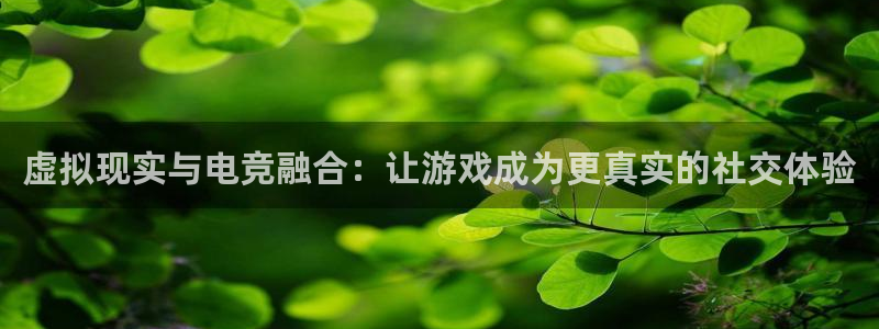 一竞技app：虚拟现实与电竞融合：让游戏成为更真实的社交体验