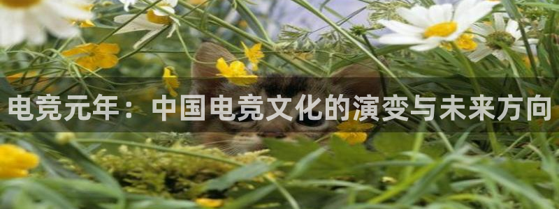 一竞技网址：电竞元年：中国电竞文化的演变与未来方向