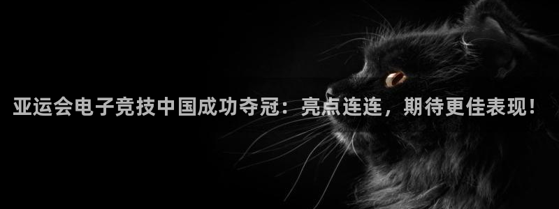 一竞技：亚运会电子竞技中国成功夺冠：亮点连连，期待更佳表现！