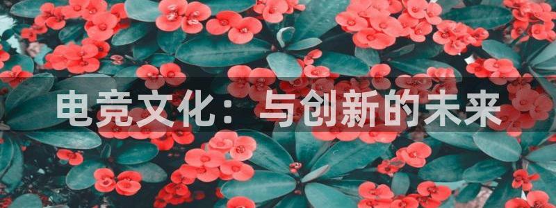 一竞技平台：电竞文化：与创新的未来