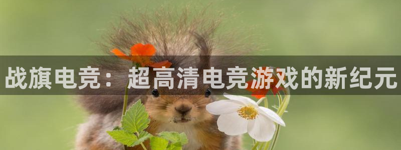 一竞技app下载安装：战旗电竞：超高清电竞游戏的新纪元