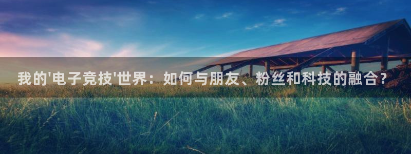 一竞技官网下载：我的\'电子竞技\'世界：如何与朋友、粉丝和科技的融合？