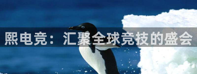 一竞技app下载：熙电竞：汇聚全球竞技的盛会
