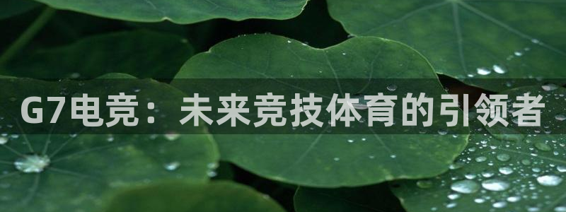 一竞技官网：G7电竞：未来竞技体育的引领者